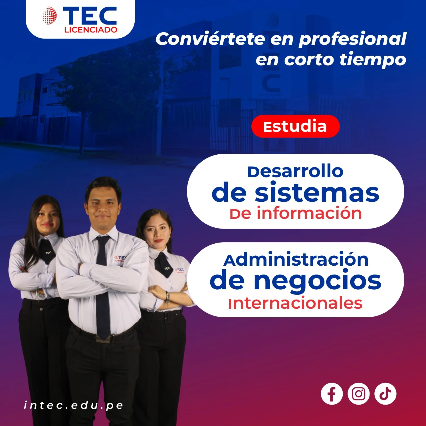 Descripción de la imagen